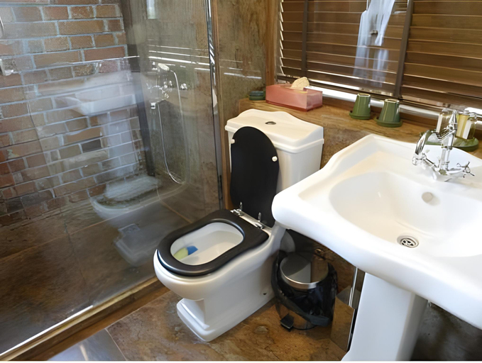 Bathroom 1, Chateau Copsa Complex, Karlovo