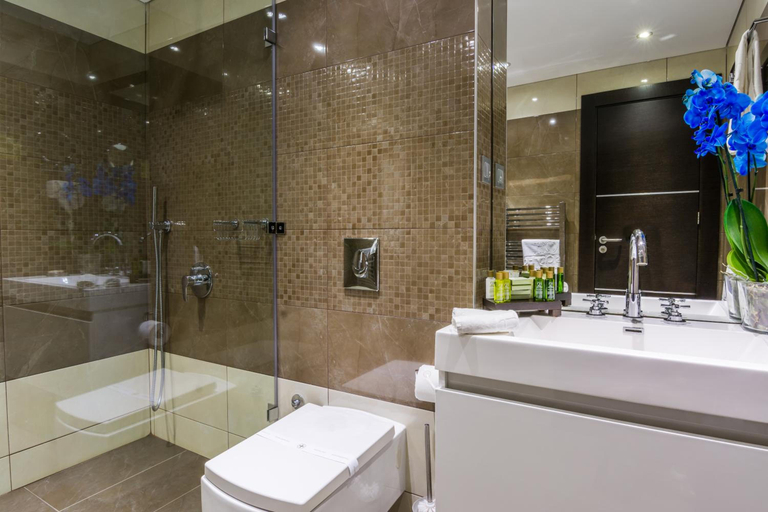 Bathroom 4, Best Western Plus Olives City Hotel, Stolichna