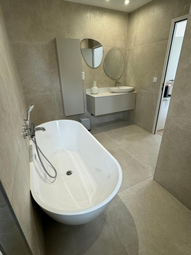 Bathroom 3, Studio suite climatise avec balcon, kitchenette equipee, douche, baignoire, wc et bureau, Rhône