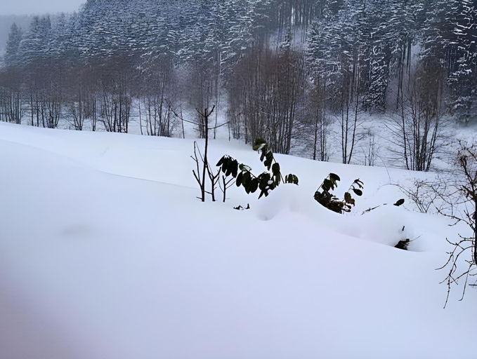 Others 4, Retreat with Private Garden, Harz