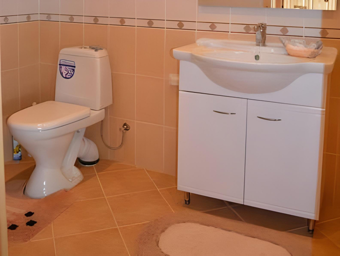 Bathroom 3, Alekseyevskaya Usadba Hotel, Suzdal'skiy rayon