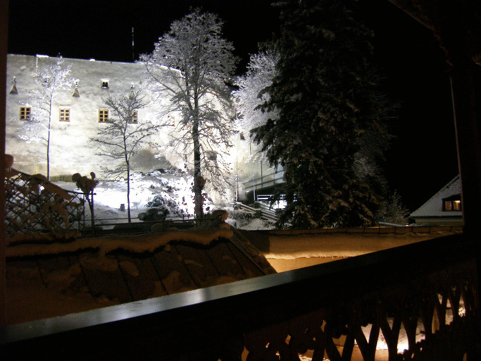Others 3, Gasthof Goldene Traube, Hallein