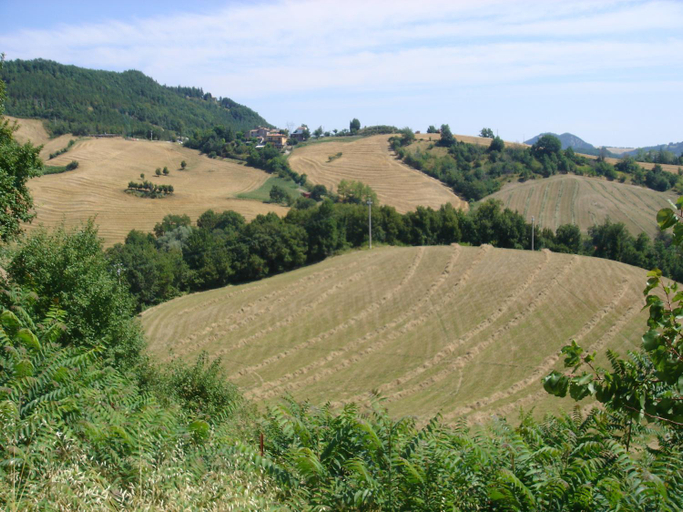 Scenery