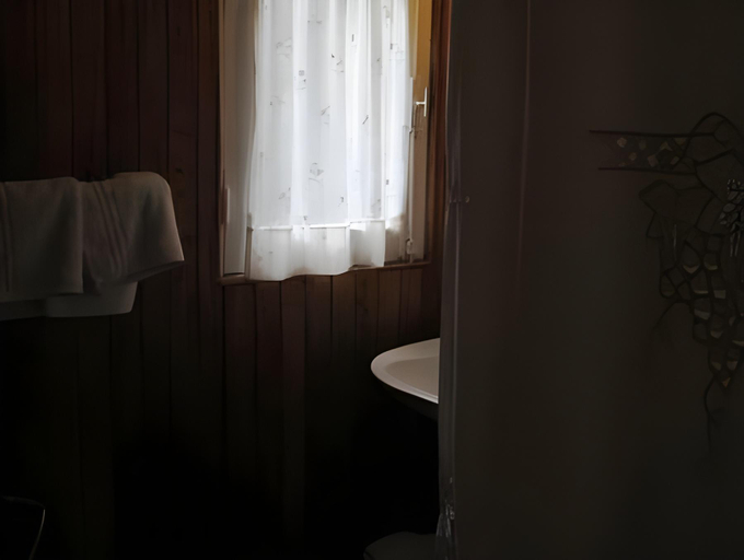 Bathroom 2, Hotel Angostura, Los Lagos