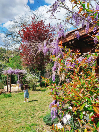 Others 5, La Colline - Chambre d'hotes - B&B, Dordogne