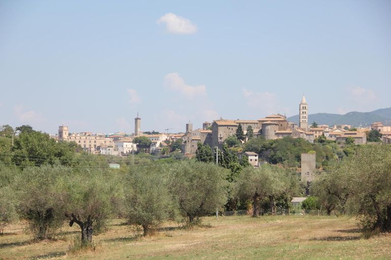 Others 5, La Fattoria Barbini B&B, Viterbo
