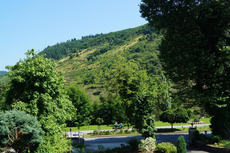 Scenery