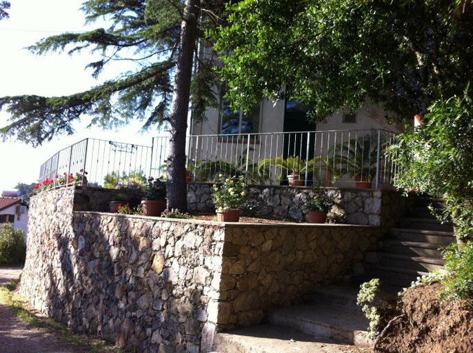 Others 4, San Cerbone, Livorno