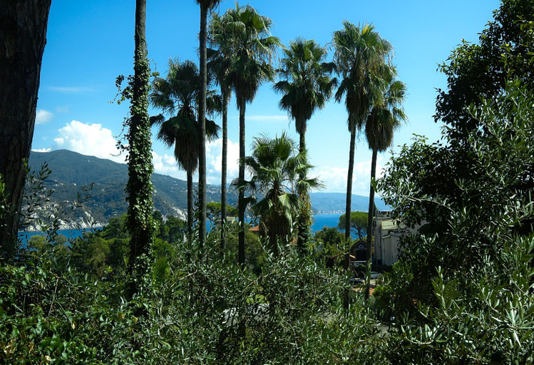 Scenery 9
