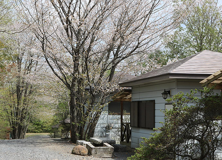 Eagle nest campsite, Motegi