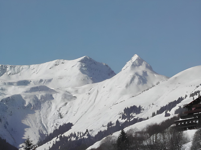 Others 4, Edelweiss, Zell am See