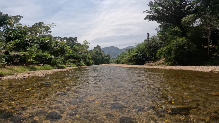 Others 4, Eco Conservation Landak Luxury Tents, Langkat