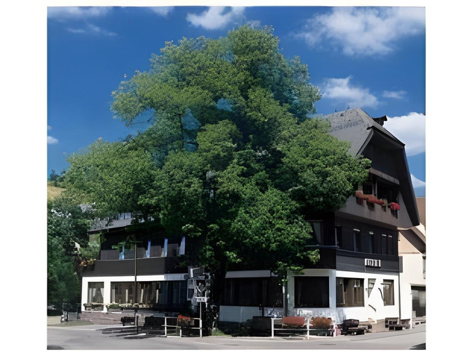 Gasthof Adler, Rottweil