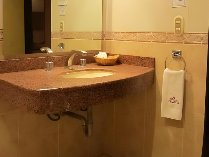 Bathroom 2, Panorama Hotel, Mexico City
