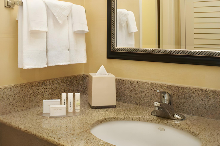 Bathroom 2, Hilton Garden Inn Addison, Dupage