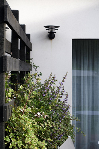 Others 3, Casa da Milheira - Agroturismo, Oliveira de Azeméis