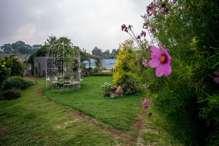 Scenery 19