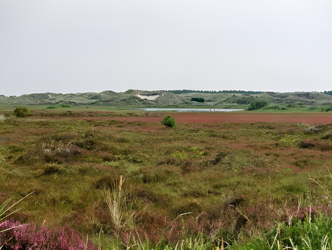 Others 4, B&B De Wadvaarder, Terschelling