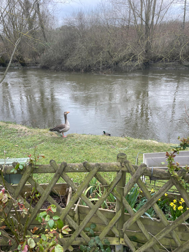 Others 3, Le Clos Robinson, Seine-Maritime