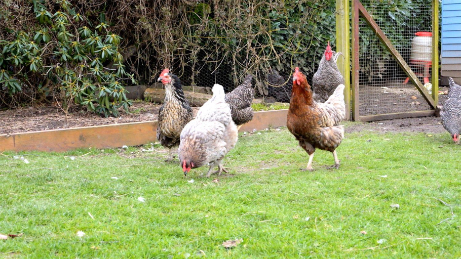 Others 4, Cherrygarth Cottage