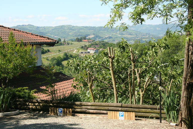 Others 5, B&B Maggiora 131, Alessandria