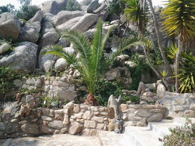 Others 4, La Fonte dell'ulivo 3, Olbia-Tempio