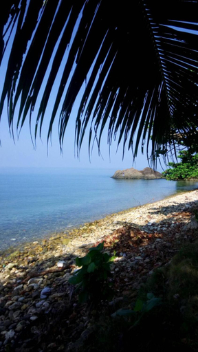 Others 5, Paradise Palms, Koh Chang