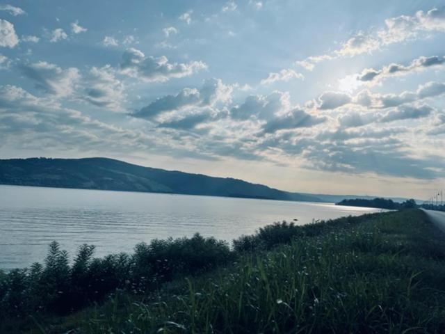 Others 4, Sobe Djurdjevic, Veliko Gradište