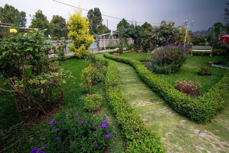 Scenery 24