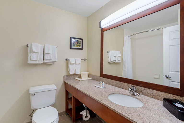 Bathroom 8