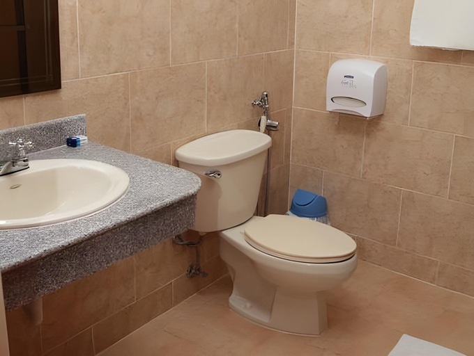 Bathroom 3, Hotel Alcala, David