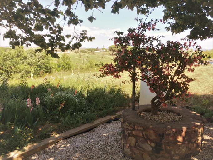 Others 3, Portela Guesthouse, Santiago do Cacém