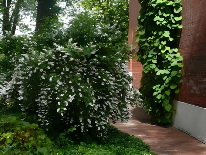 Others 5, Pension Villa Fortuna, Dahme-Spreewald