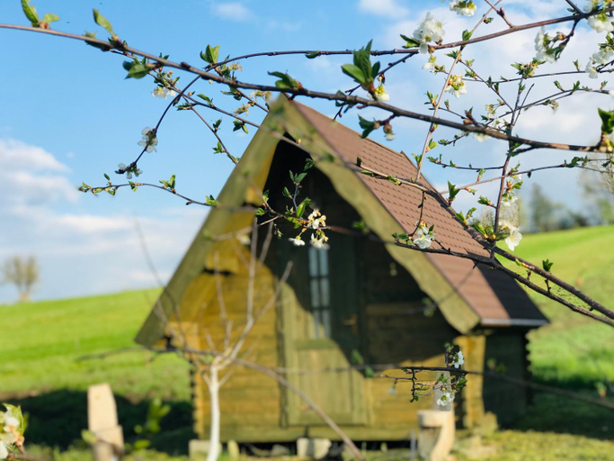 Others 2, Pensiune Rozalia - Camping, Bunesti