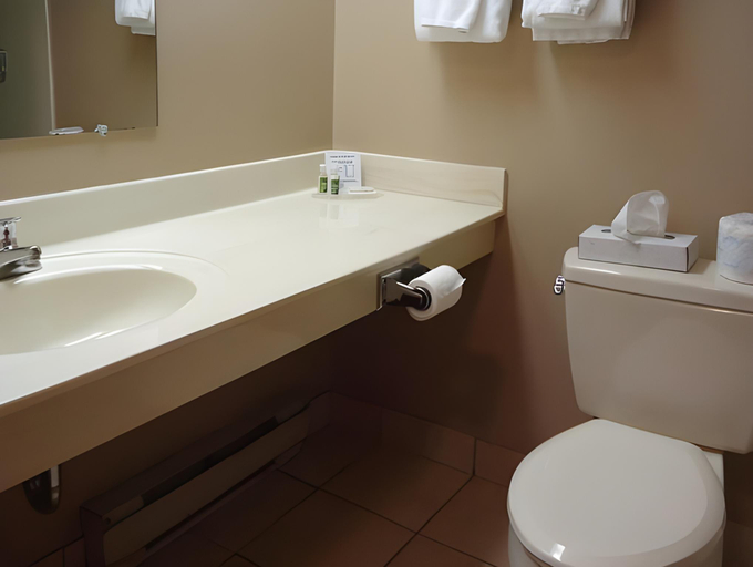 Bathroom 3, La Place Rendez-Vous Hotel, Rainy River