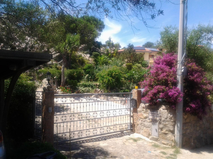 Others 2, La Fonte dell'ulivo 3, Olbia-Tempio