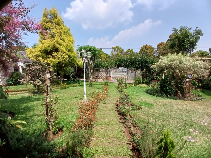 Scenery 17
