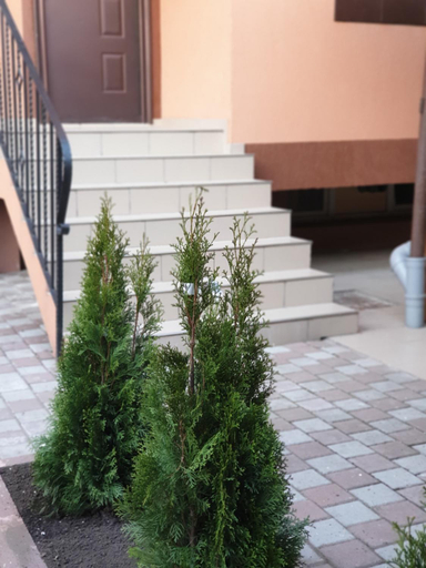 Others 3, Apartment Villa, Municipiul Bucuresti