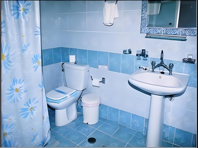 Bathroom, Liogerma, South Aegean