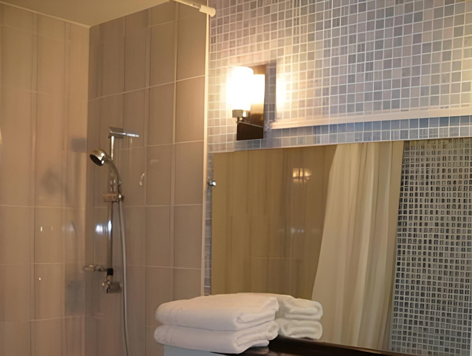Bathroom 4, Logis Hotel Come Inn, Vienne