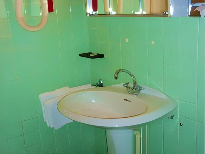 Bathroom, La Darentasia, Savoie