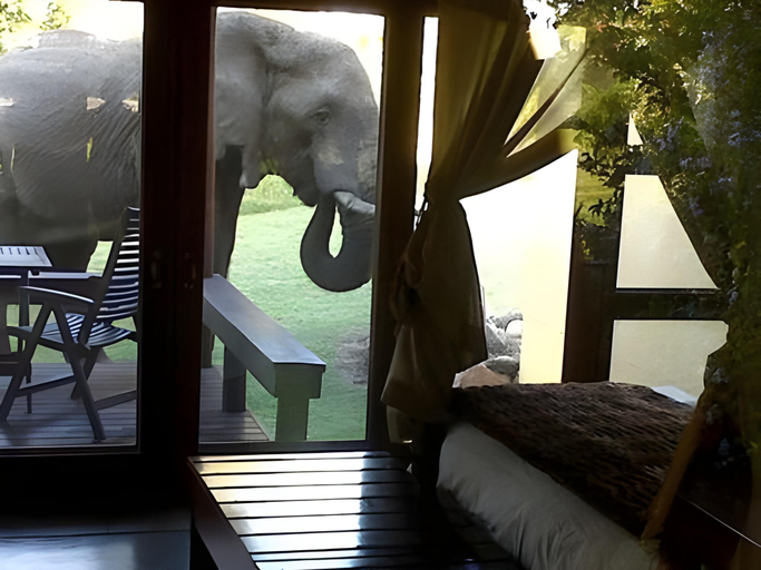 Bedroom 3, Inyati Game Lodge, Ehlanzeni