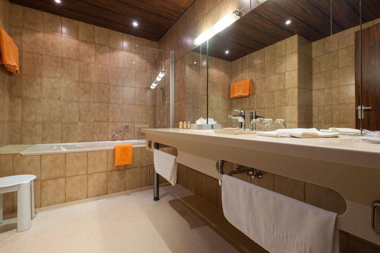Bathroom 4, Goldener Hirsch, Bayreuth