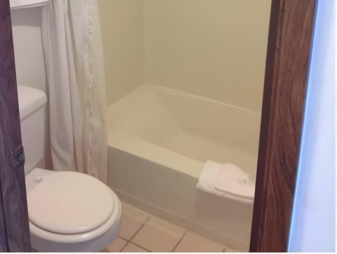 Bathroom 3, Sea-Tac Airport Value Inn, King