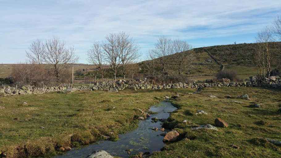 Others 4, L'AUBRIETE, Lozère