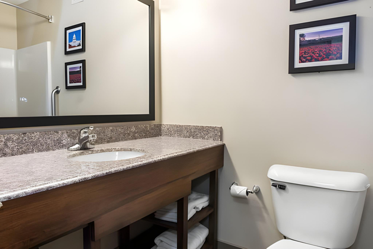 Bathroom, Comfort Suites Springfield I-70, Clark