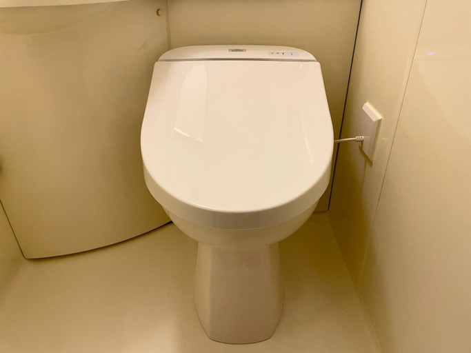 Bathroom 4, Kusatsu Dai-ichi Hotel, Rittō