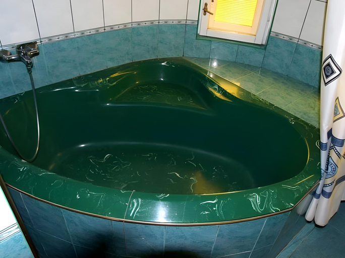 Bathroom 2, Nautilus, Uzhhorods'kyi