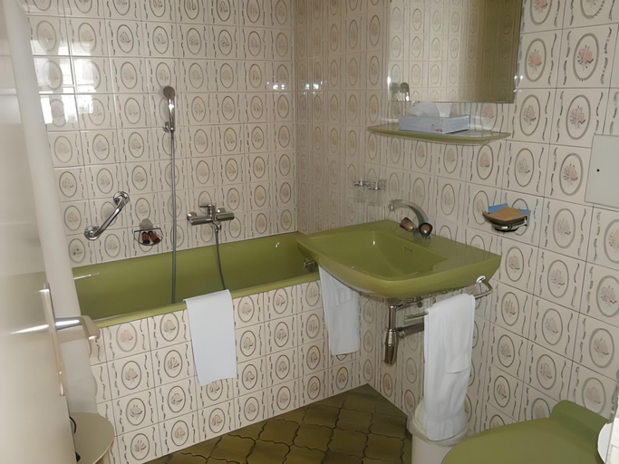 Bathroom 5, La Fleur de Lys, La Gruyère