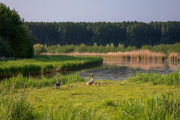 Others 2, waterland, Oostflakkee